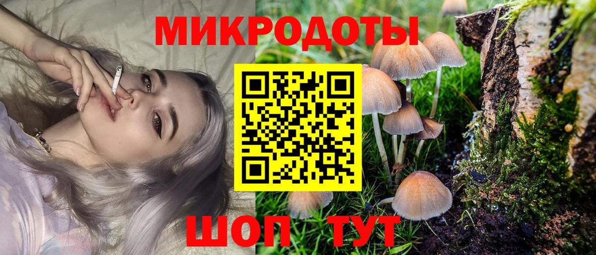 Киселёвск  купить наркоту  Вход с VPN  Галлюциногенные грибы Psilocybe 